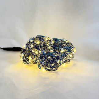 Cerebellum Confusa - Manuel Walter