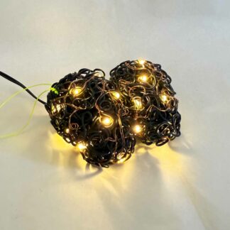 Cerebellum Confusa - Manuel Walter