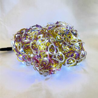 Cerebellum Confusa - Manuel Walter