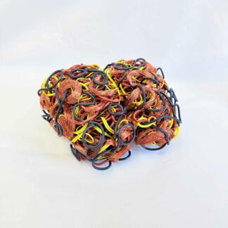 Cerebellum Confusa - Manuel Walter