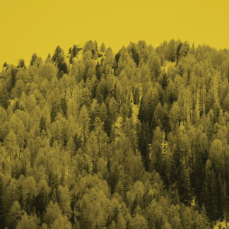 Serie Il sussurro della materia #6 - Santiago Carrera