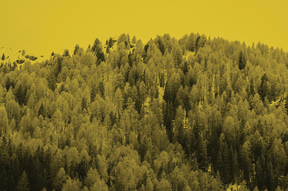 Serie Il sussurro della materia #6 - Santiago Carrera