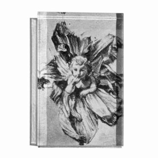 senza titolo - Fabiola Di Fulvio