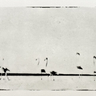 Serie Africa Dreaming - Alberto Bernardoni