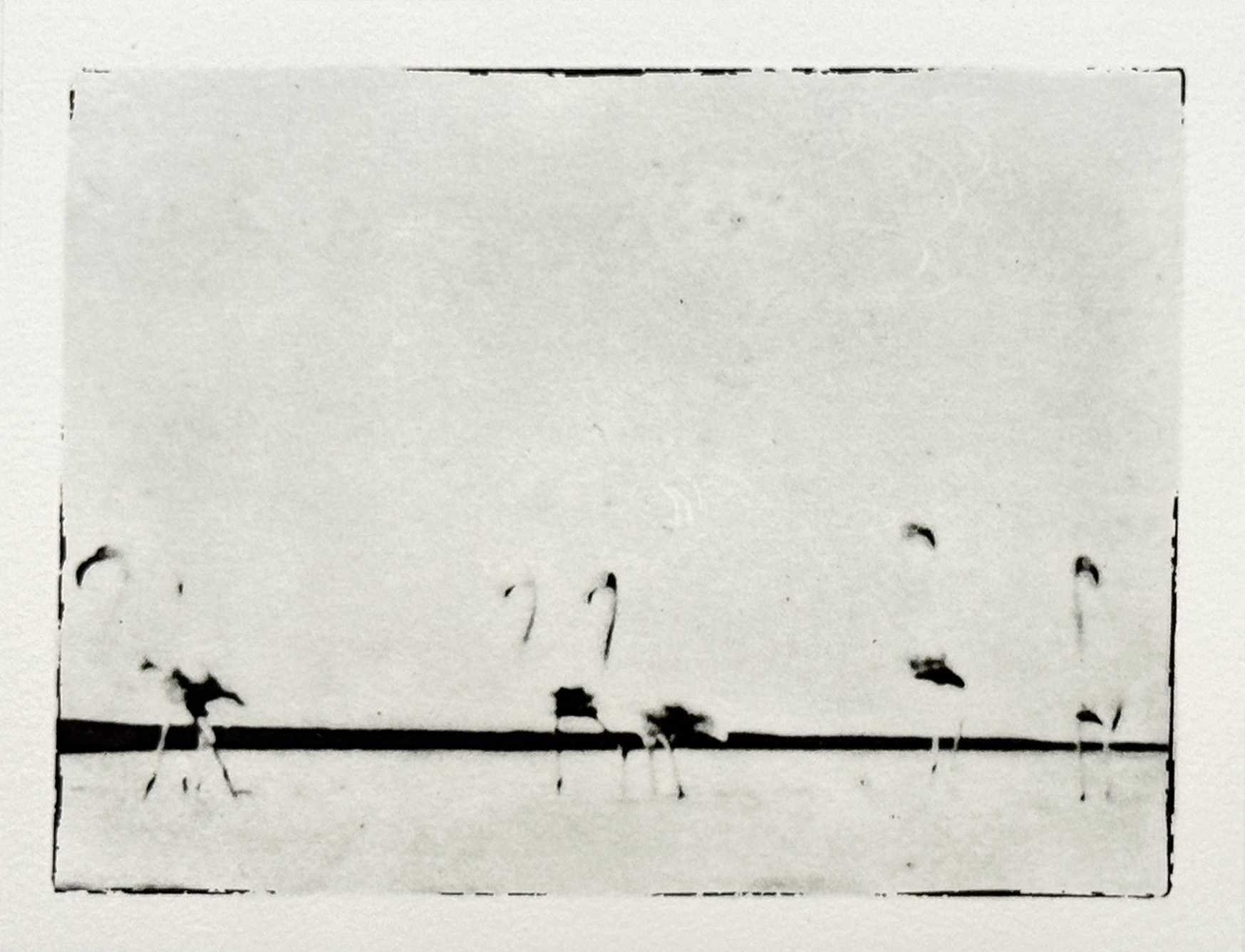 Serie Africa Dreaming - Alberto Bernardoni