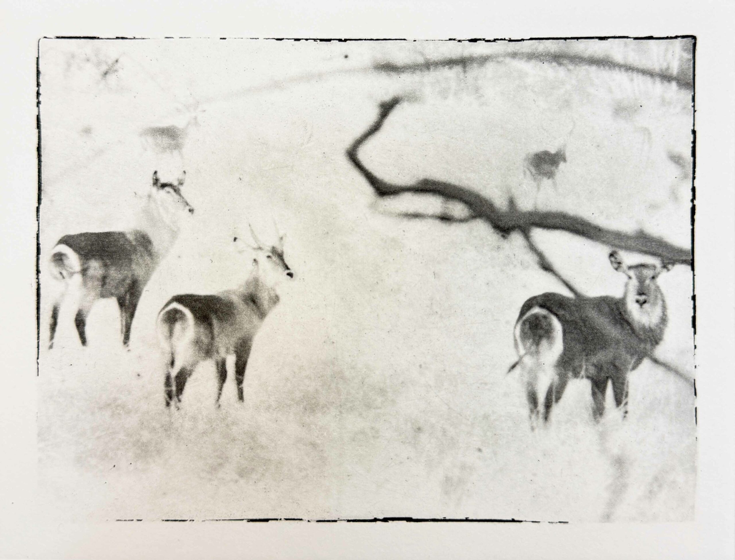 Serie Africa Dreaming - Alberto Bernardoni