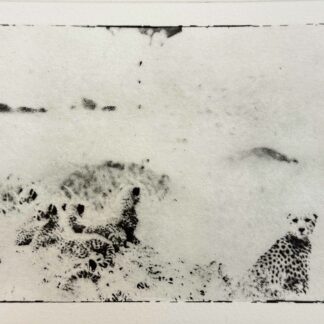 Serie Africa Dreaming - Alberto Bernardoni