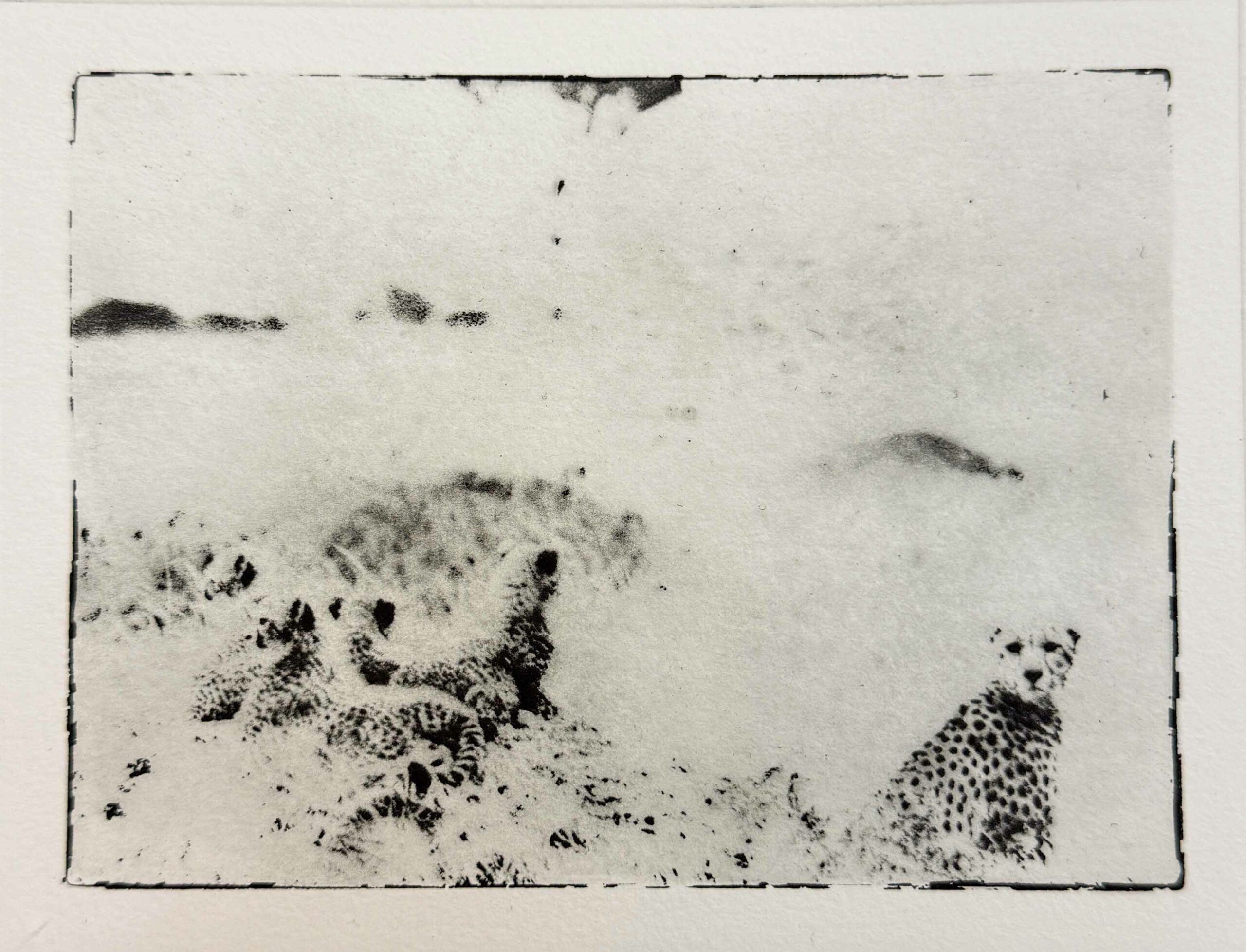 Serie Africa Dreaming - Alberto Bernardoni