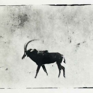 Serie Africa Dreaming - Alberto Bernardoni