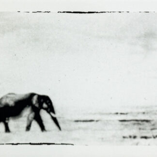 Serie Africa Dreaming - Alberto Bernardoni