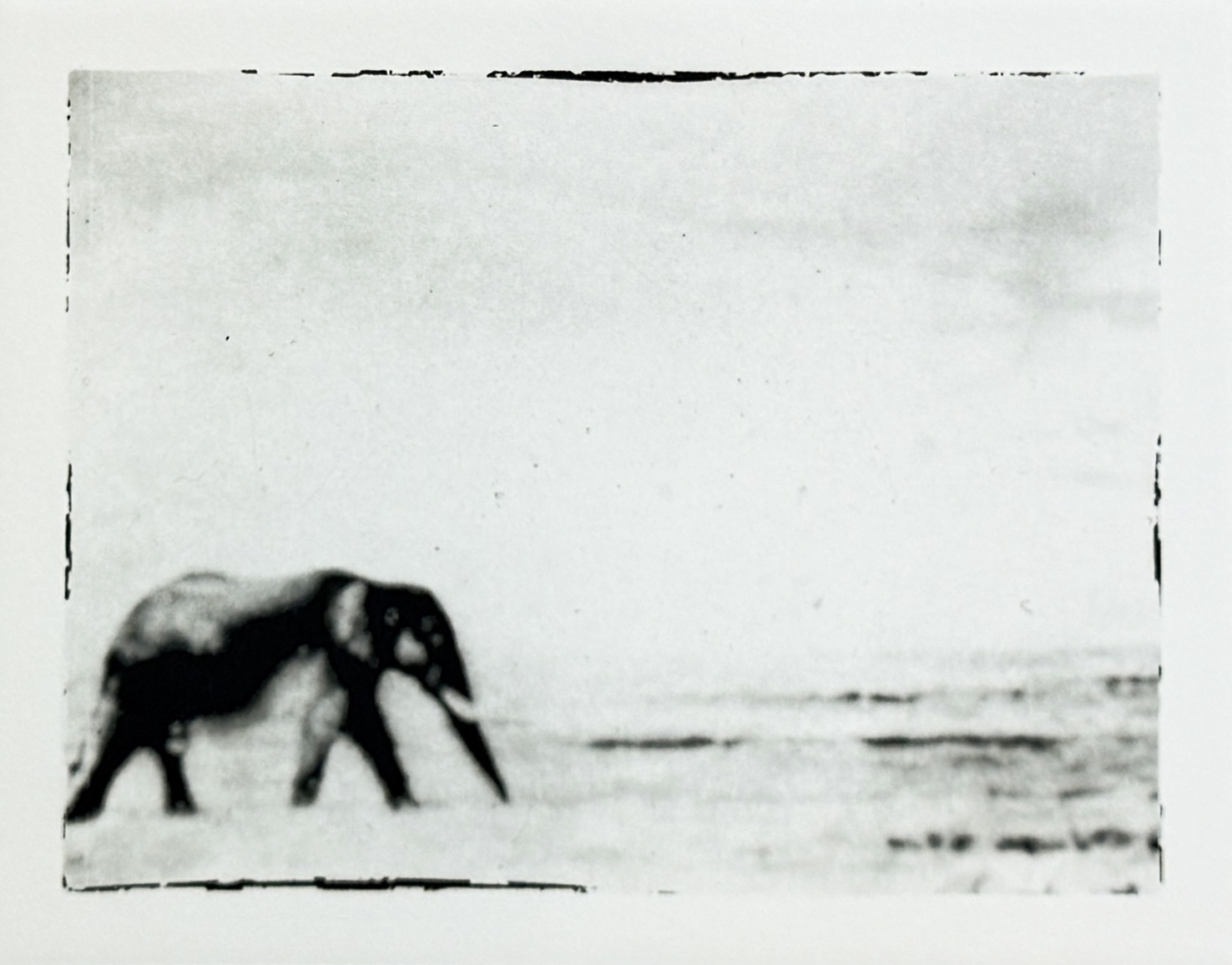 Serie Africa Dreaming - Alberto Bernardoni