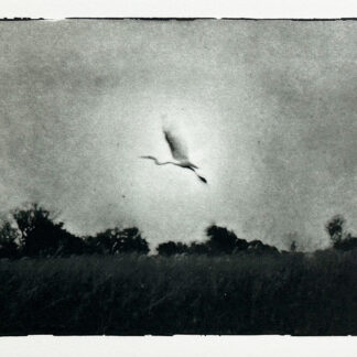 Serie Africa Dreaming - Alberto Bernardoni