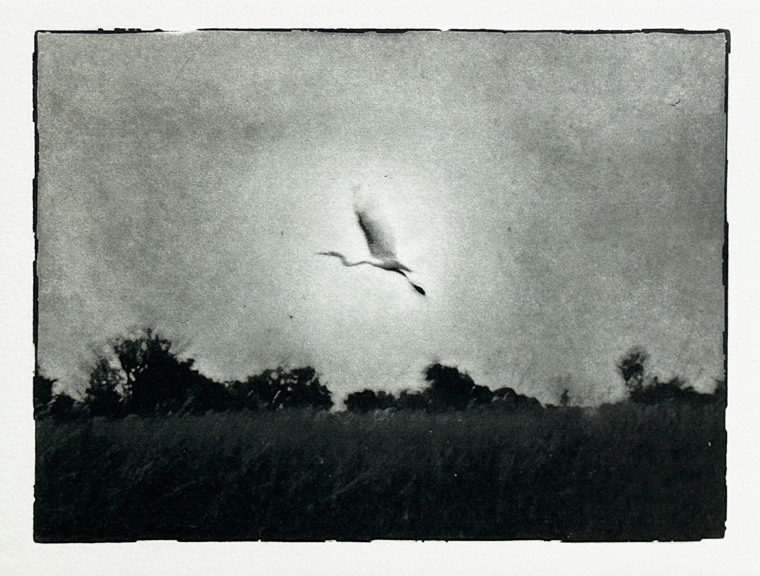 Serie Africa Dreaming - Alberto Bernardoni