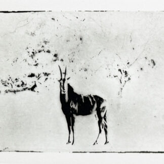 Serie Africa Dreaming - Alberto Bernardoni