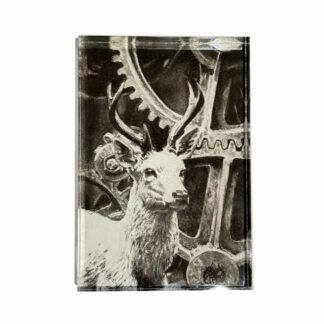 senza titolo - Fabiola Di Fulvio